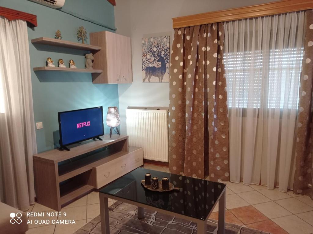 TV a/nebo společenská místnost v ubytování Bratis House