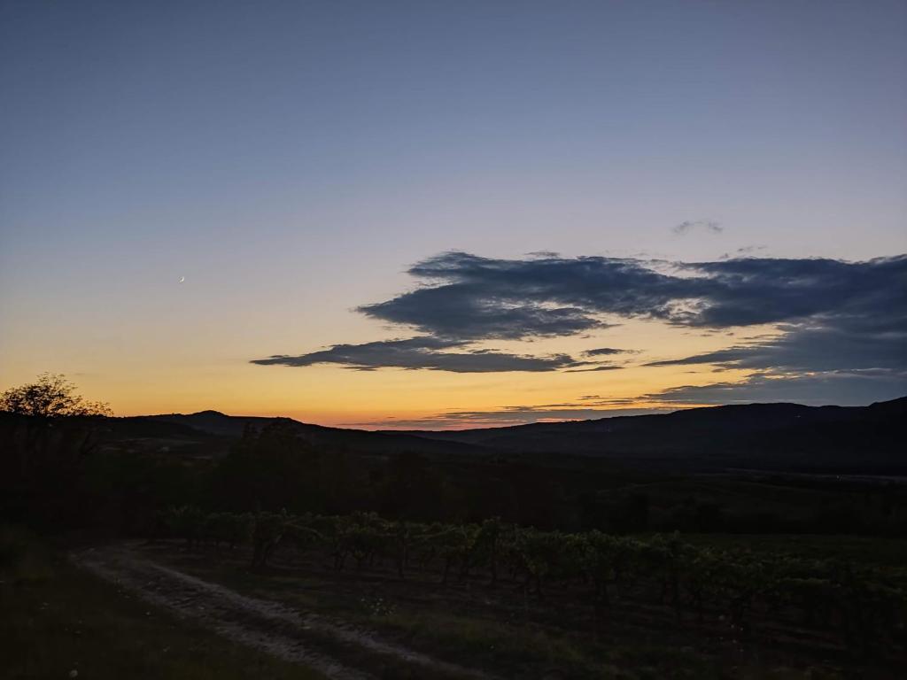Fotografie z fotogalerie ubytování Apartman Monte Rudina v destinaci Motovun