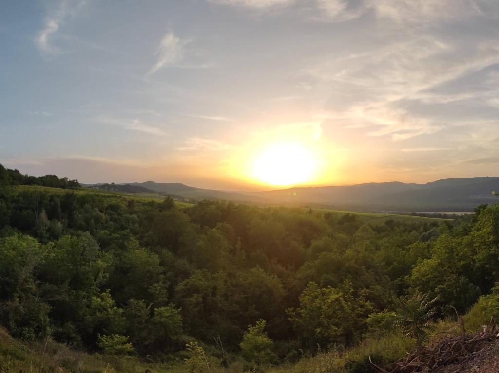 Fotografie z fotogalerie ubytování Apartman Monte Rudina v destinaci Motovun