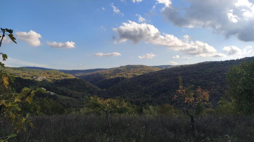 Fotografie z fotogalerie ubytování Apartman Monte Rudina v destinaci Motovun