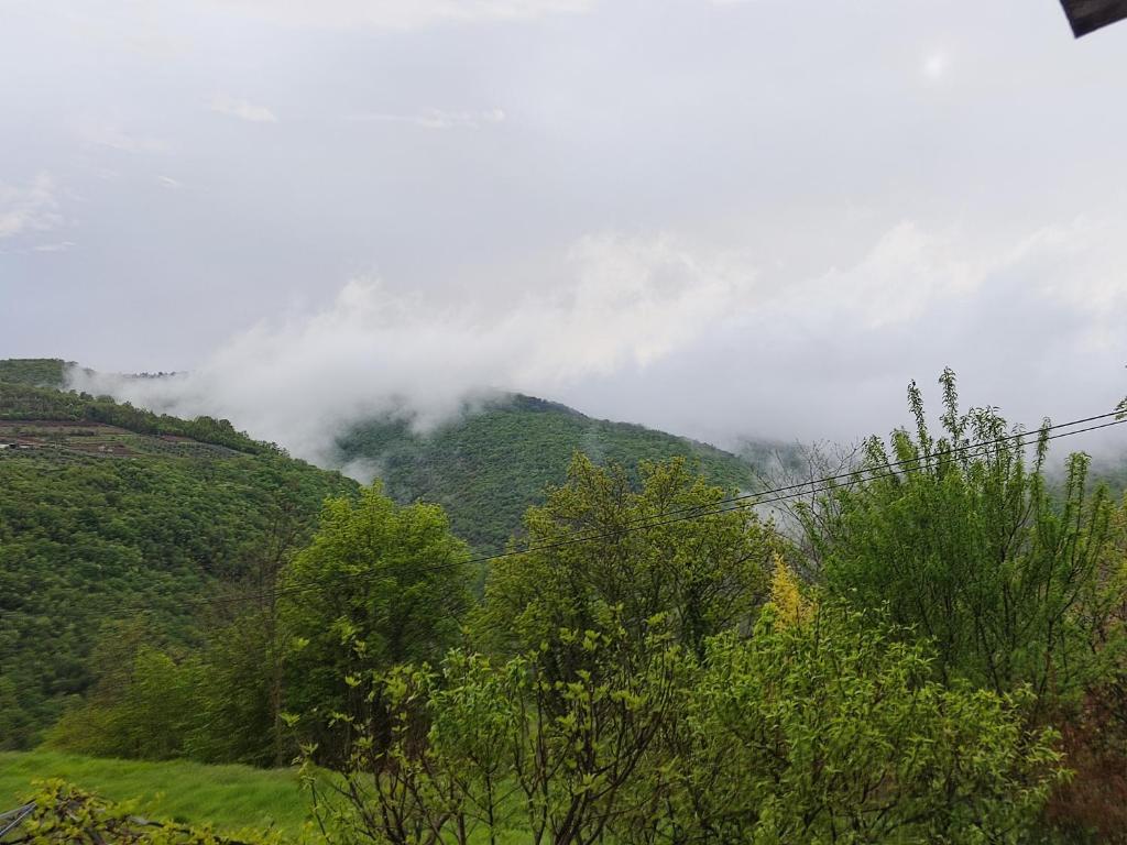 Fotografie z fotogalerie ubytování Apartman Monte Rudina v destinaci Motovun