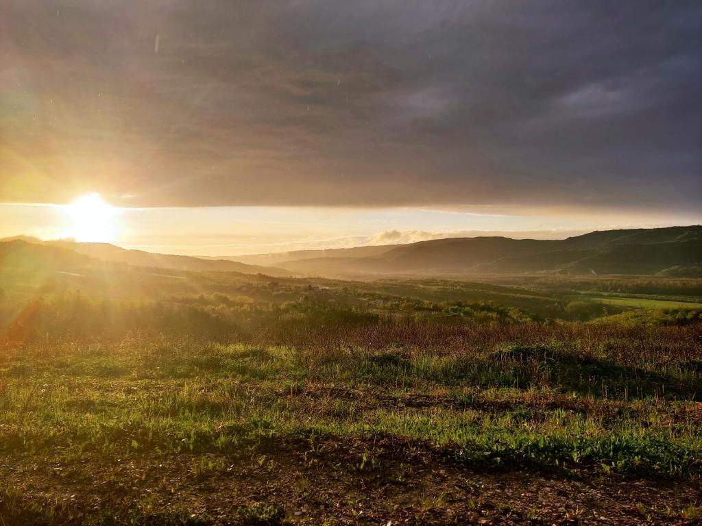 Fotografie z fotogalerie ubytování Apartman Monte Rudina v destinaci Motovun