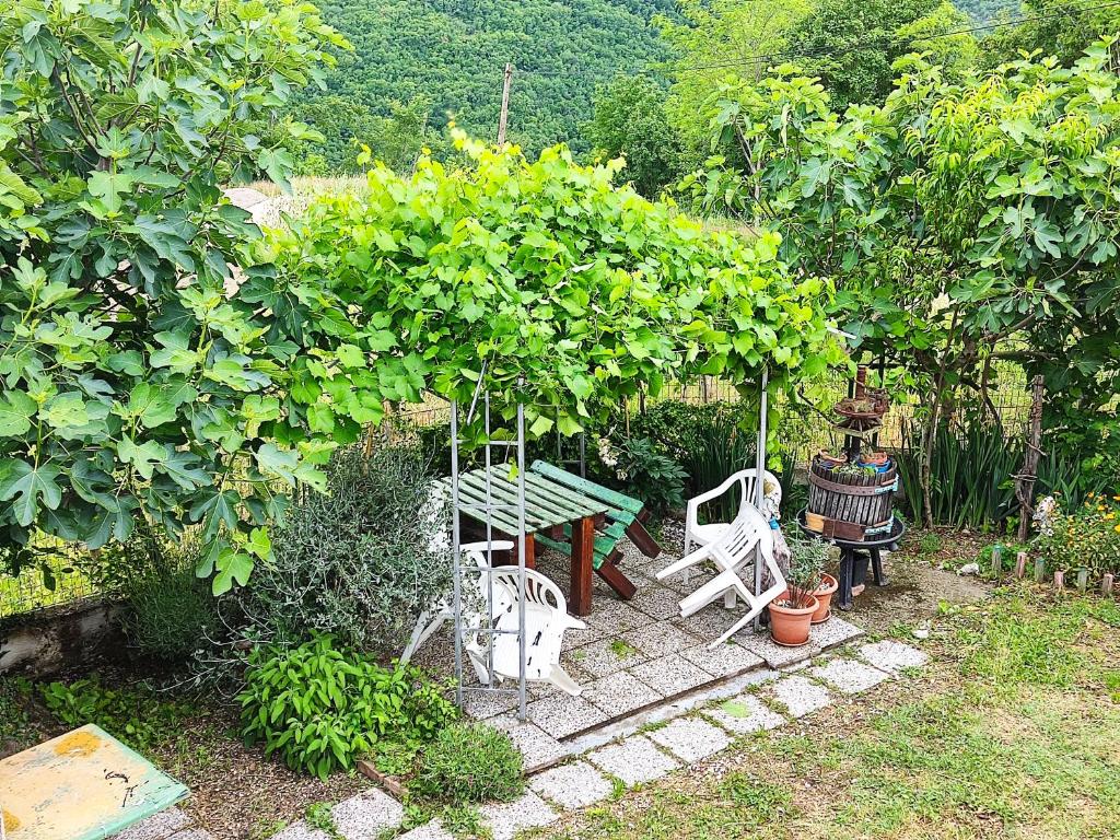 Fotografie z fotogalerie ubytování Apartman Monte Rudina v destinaci Motovun