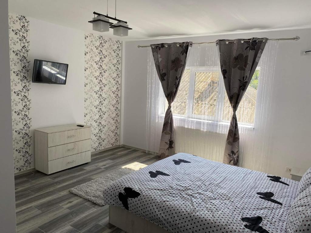 Schlafzimmer mit einem Bett und einem Fenster in der Unterkunft Dana Studio in Tulcea