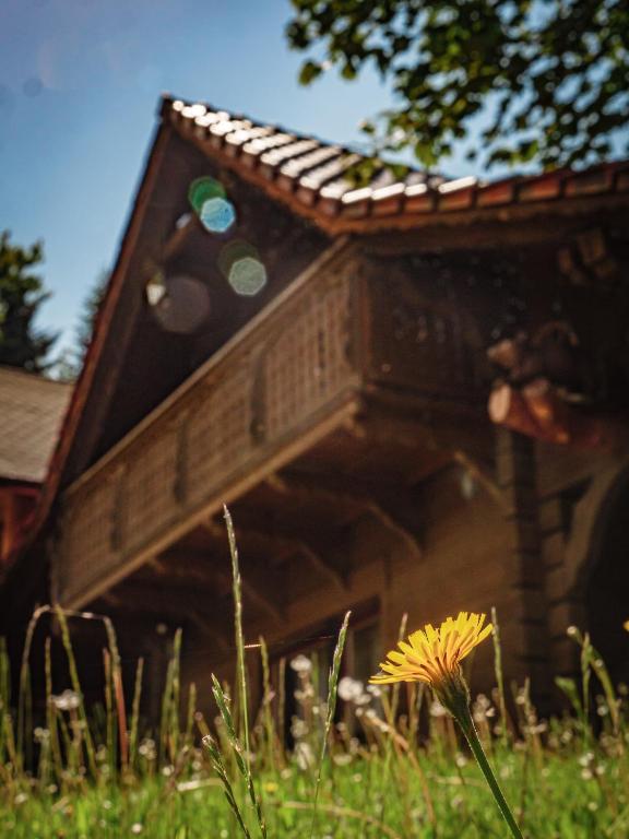 Zahrada ubytování Tworzówka - Ekskluzywne Domy w górach