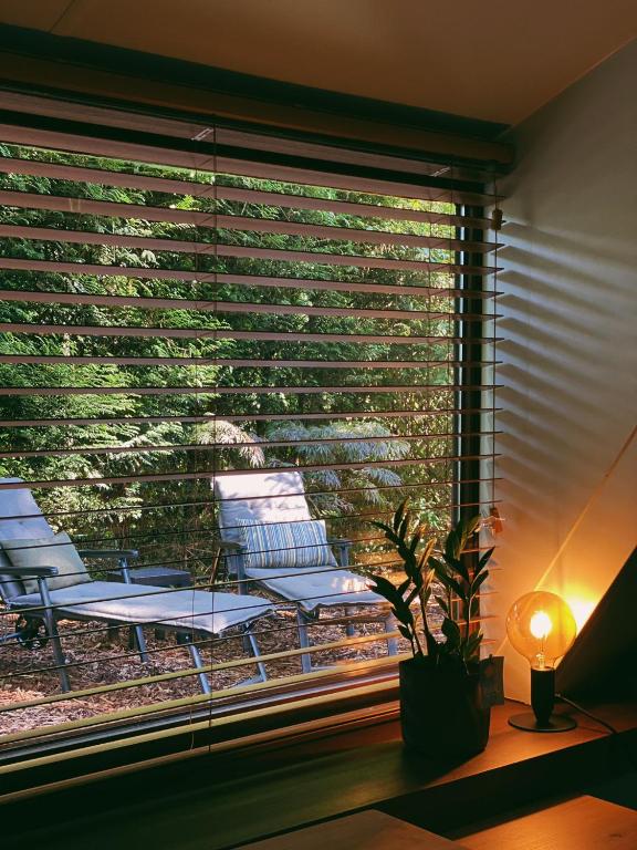 Zahrada ubytování Mimi's natuurhuisje