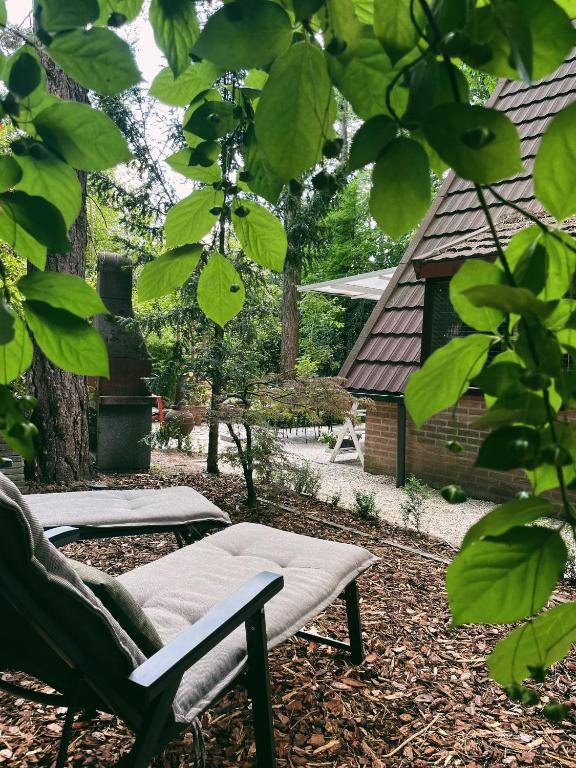 Zahrada ubytování Mimi's natuurhuisje