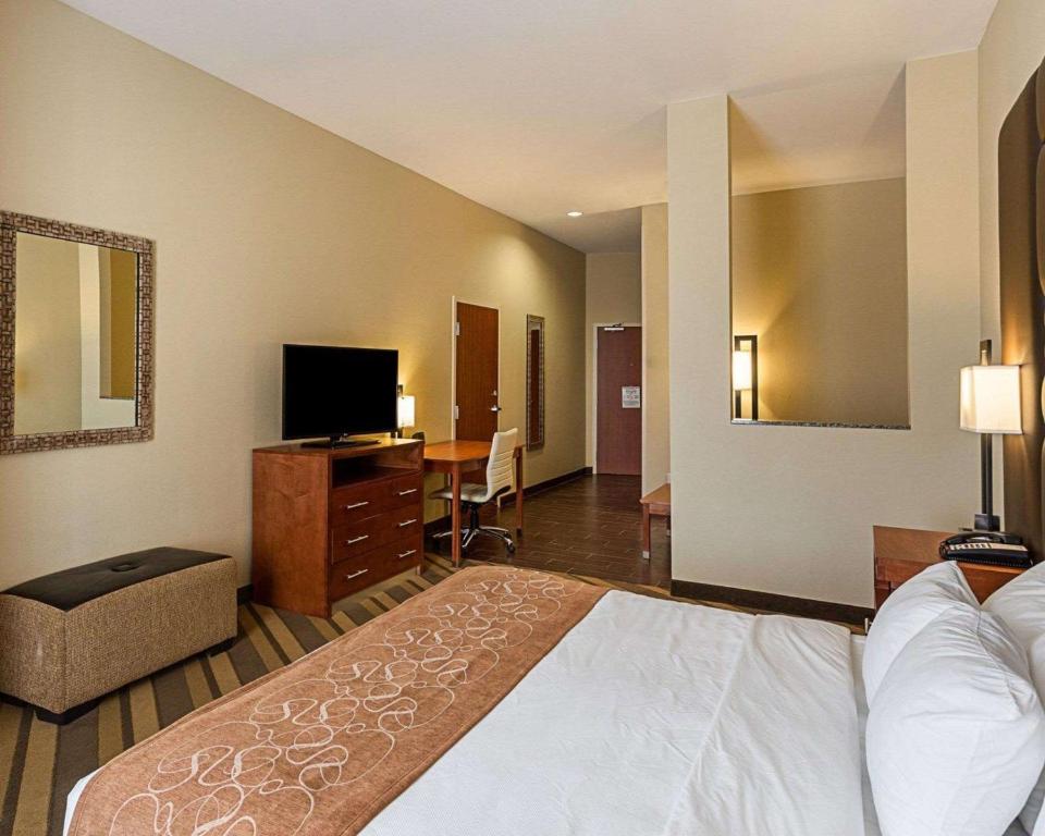 Comfort Suites near Tanger Outlet Mall - King Suite - Non-Smoking