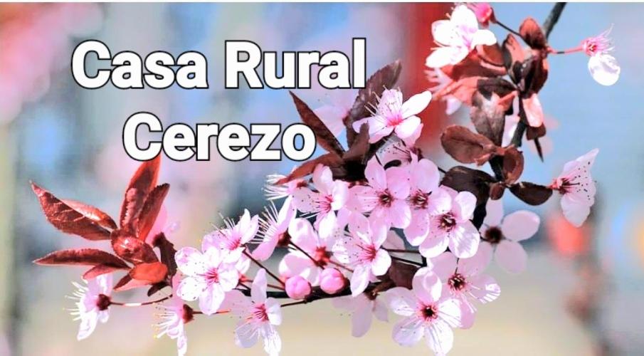 莫夕亞的住宿－ALOJAMIENTO RURAL CEREZO，一种标志,上面写着凯拉农村公墓的粉红色花卉