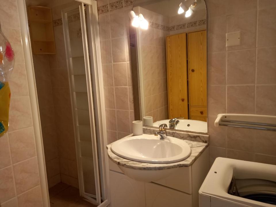 a bathroom with a sink and a mirror at charmante maison de village in Saint-Jean-du-Bruel