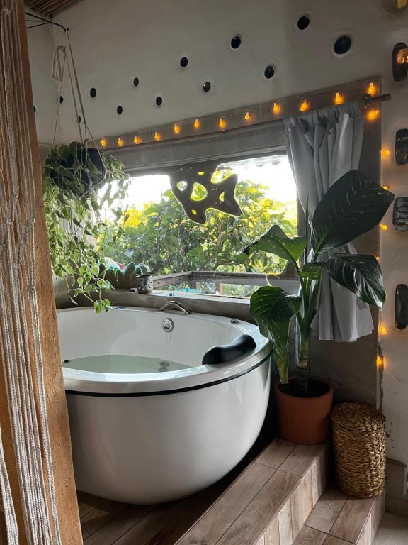 a bath tub in a bathroom with a window at Bioevoluir in Igaratá