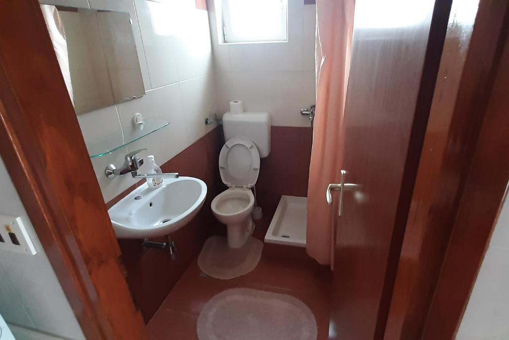 małą łazienkę z toaletą i umywalką w obiekcie Studio Bibinje 5786b w Bibinje