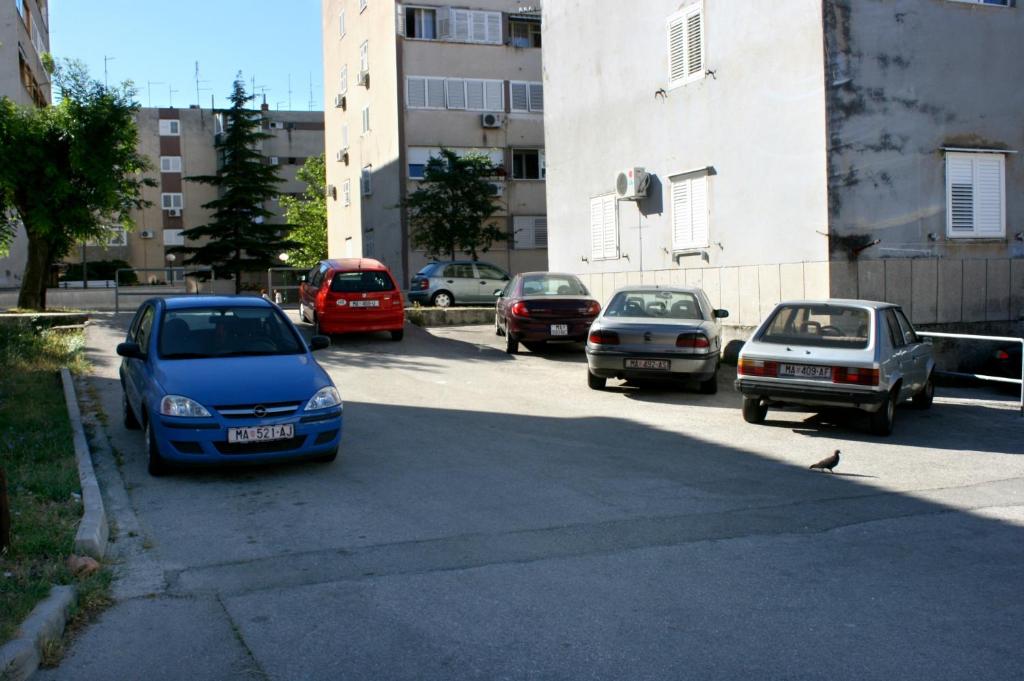 Fotografia z galérie ubytovania Apartments by the sea Makarska - 6738 v destinácii Makarska