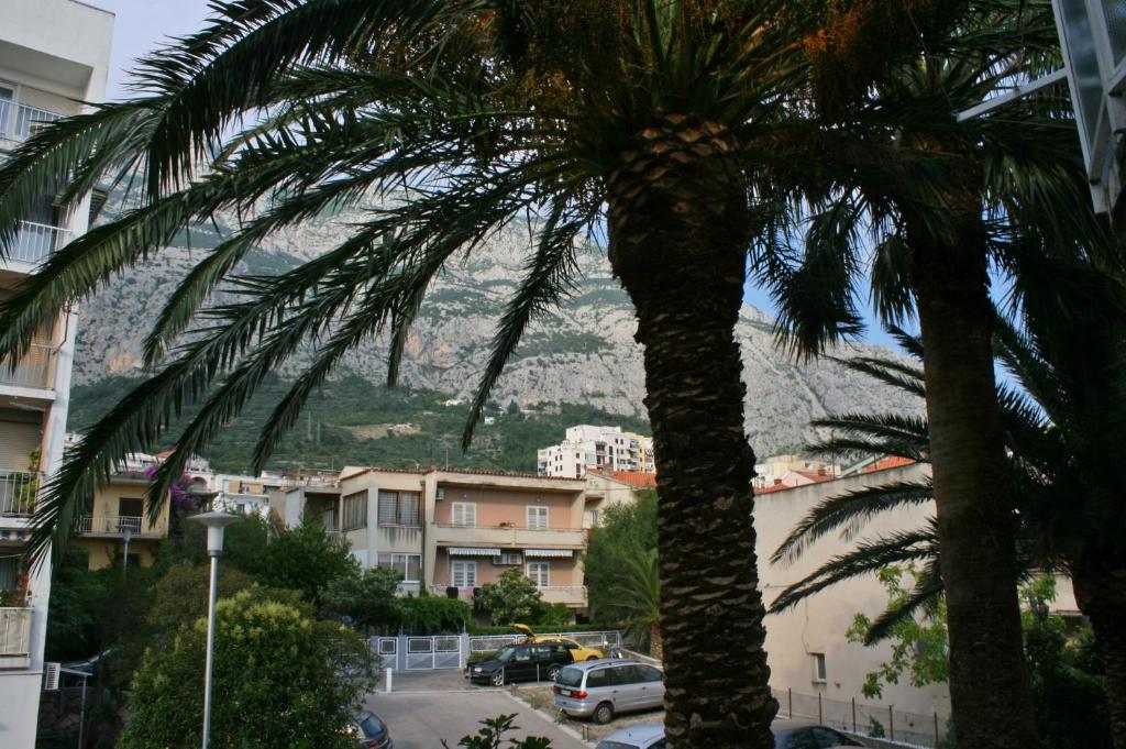 Fotografia z galérie ubytovania Apartments and rooms with parking space Makarska - 6644 v destinácii Makarska