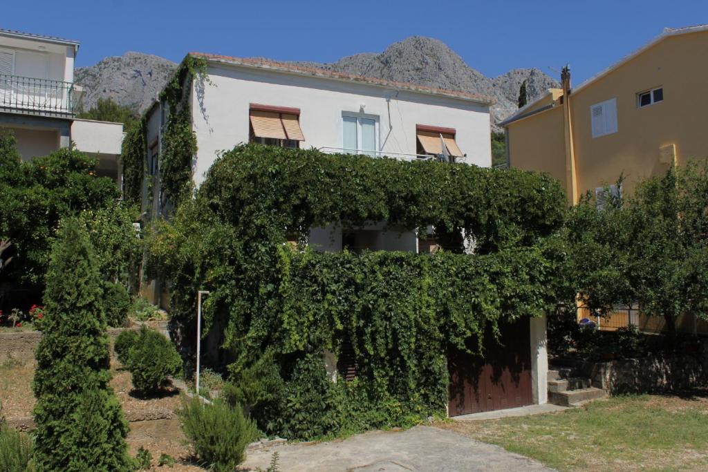 Fotografie z fotogalerie ubytování Apartments with a parking space Podgora, Makarska - 6847 v Podgoře