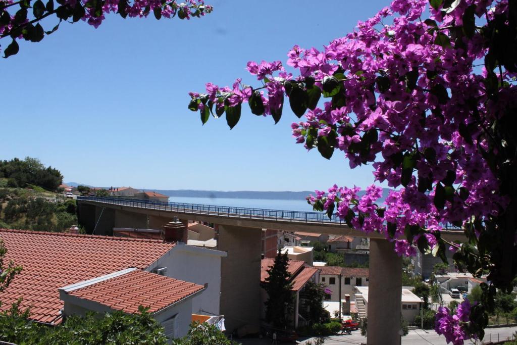 Fotografia z galérie ubytovania Apartments and rooms with parking space Podgora, Makarska - 6790 v Podgore