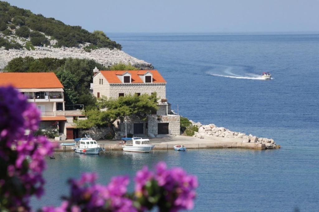 Apartments by the sea Zaklopatica, Lastovo - 8340 في Lastovo: منزل على جزيرة في مياه مع قوارب