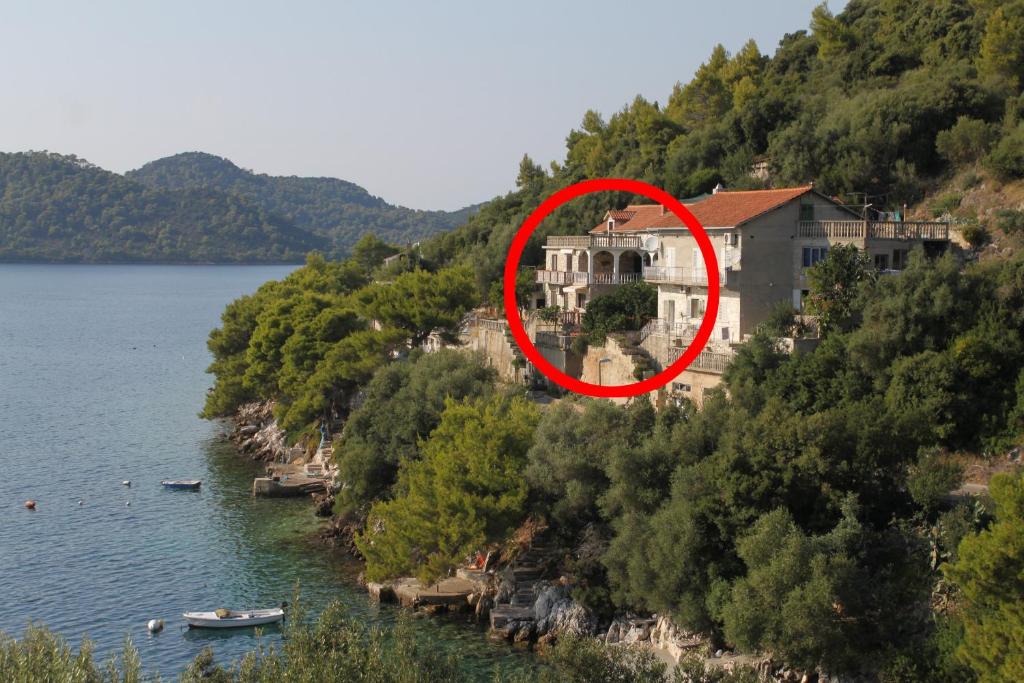 a house on a hill next to a body of water at Apartments by the sea Ubli, Lastovo - 8344 in Ubli