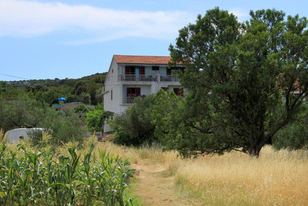 Příroda nedaleko apartmánu