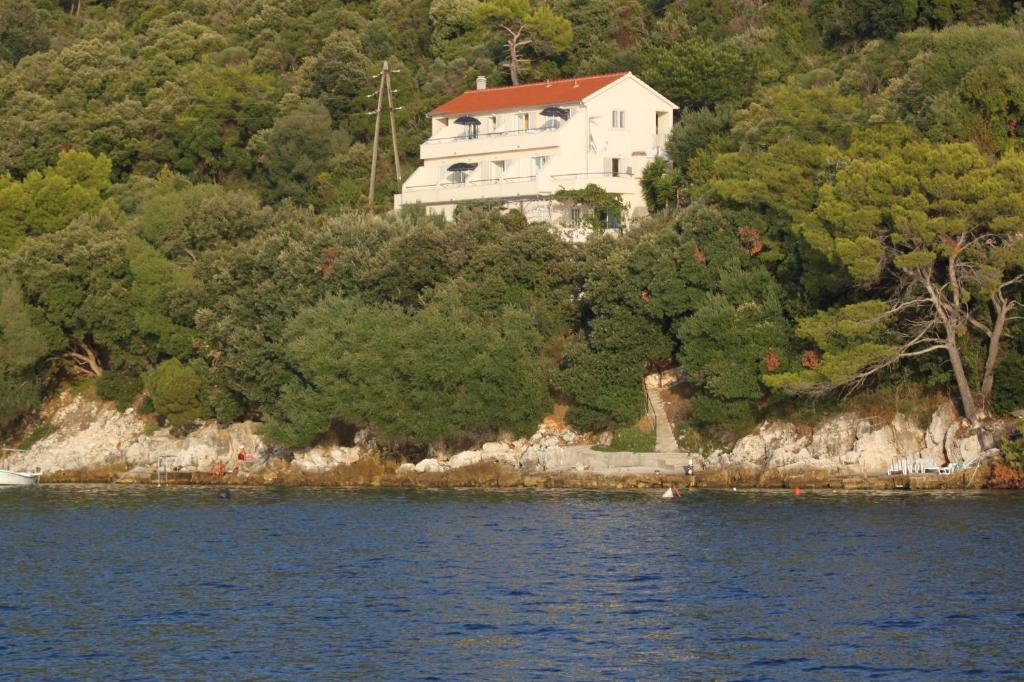 a house on a hill next to a body of water at Apartments by the sea Ubli, Lastovo - 8355 in Ubli