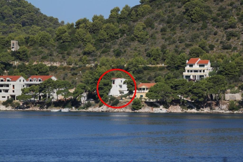 Apartments by the sea Pasadur, Lastovo - 8388 في Lastovo: منزل على شاطيء تجمع المياه