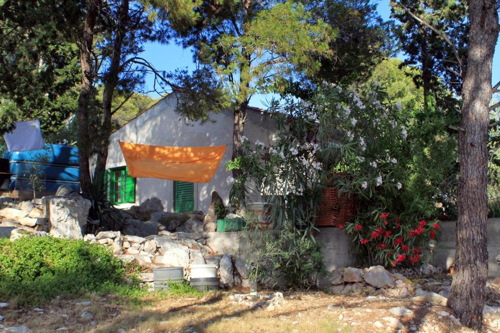 Vonkajšia záhrada v ubytovaní Secluded fisherman's cottage Lavdara, Dugi otok - 8175