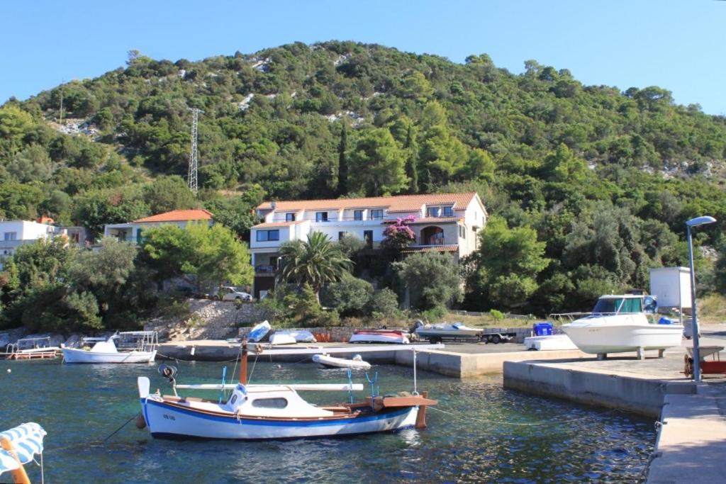 een kleine boot is aangemeerd in een jachthaven bij Apartments and rooms by the sea Zaklopatica, Lastovo - 8339 in Lastovo