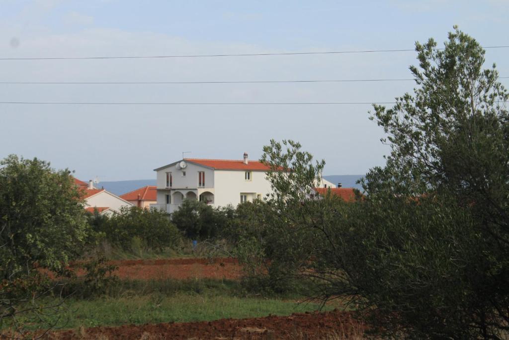 Fotografia z galérie ubytovania Apartment Mrljane 8498b v destinácii Mali Pašman