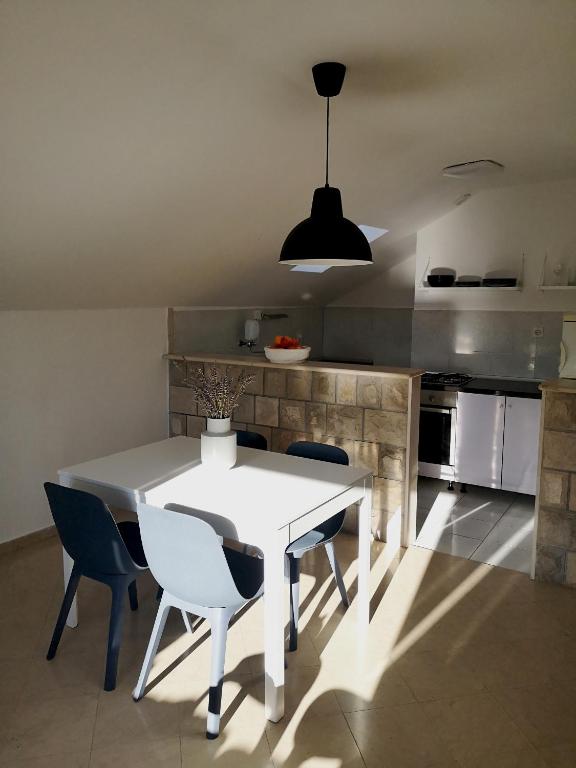 Kuchyňa alebo kuchynka v ubytovaní Apartments and rooms by the sea Slano, Dubrovnik - 8737