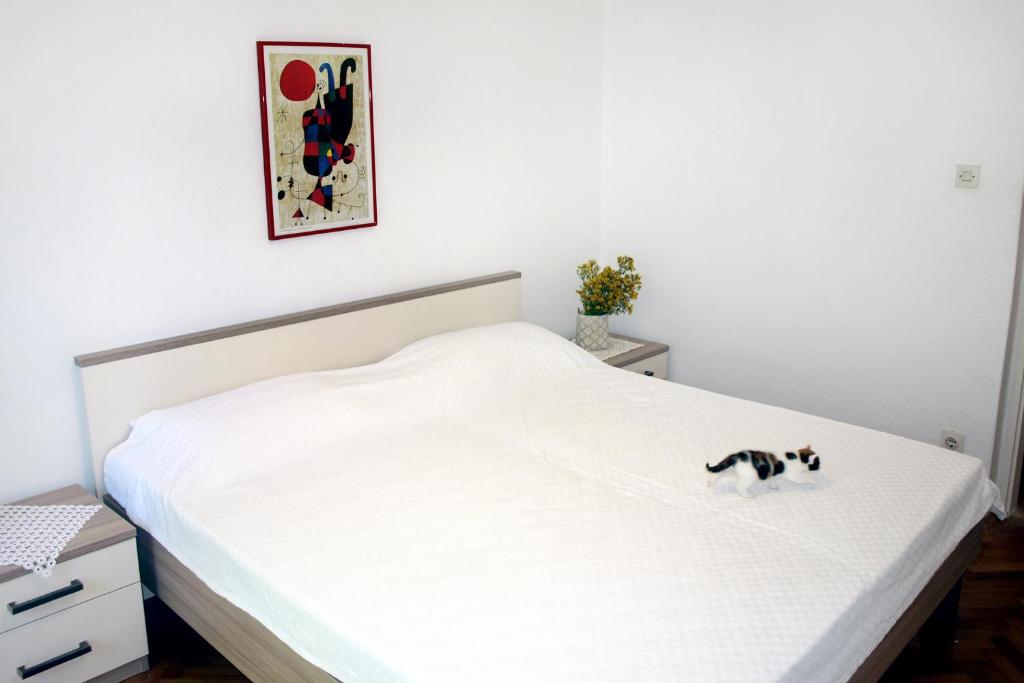 sypialnia z białym łóżkiem z kotem w obiekcie Apartments with a parking space Jelsa, Hvar - 8750 w mieście Jelsa