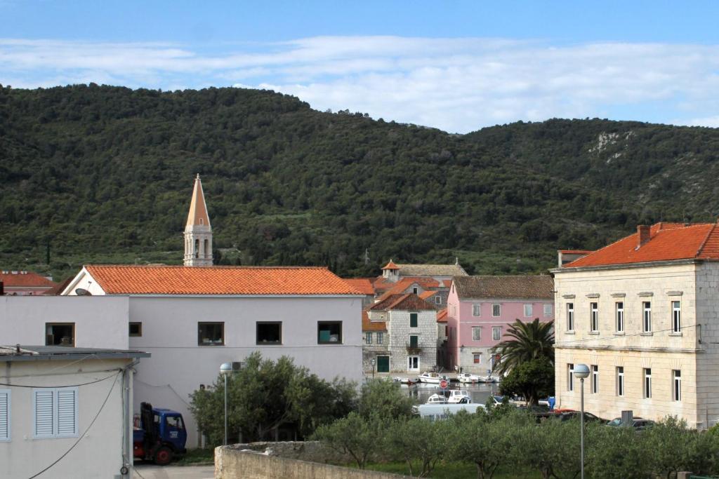 Fotografie z fotogalerie ubytování Apartments and rooms by the sea Stari Grad, Hvar - 8788 v destinaci Stari Grad
