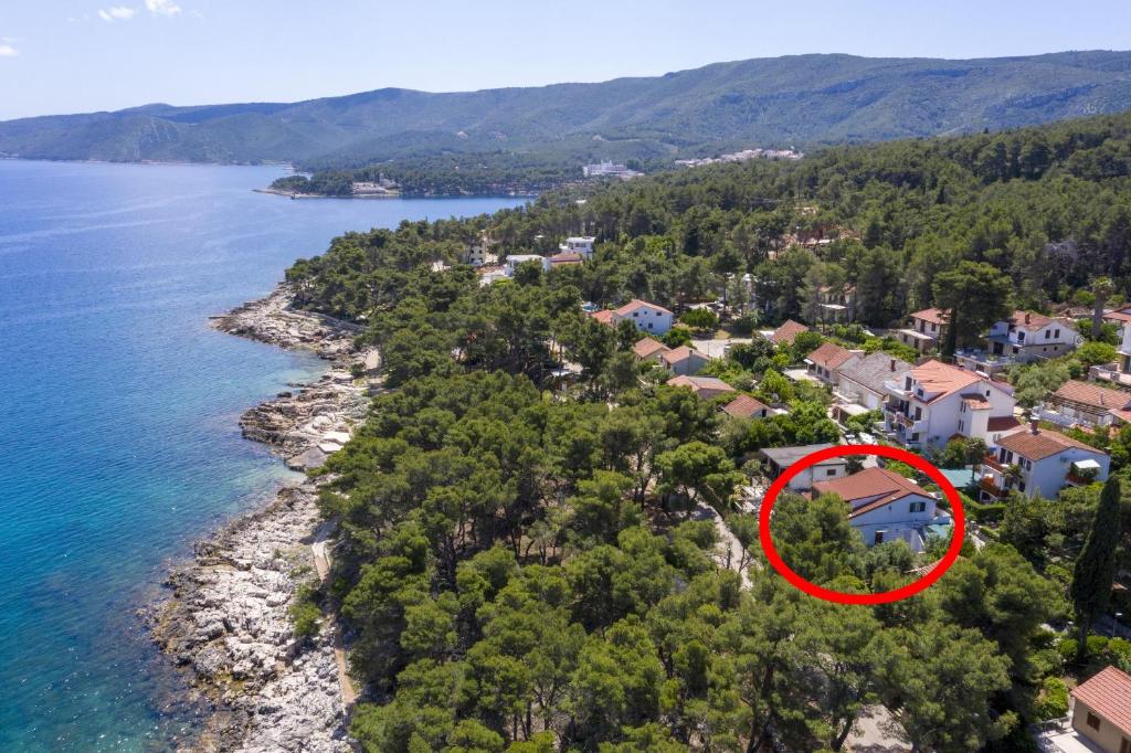 Příroda nedaleko apartmánu