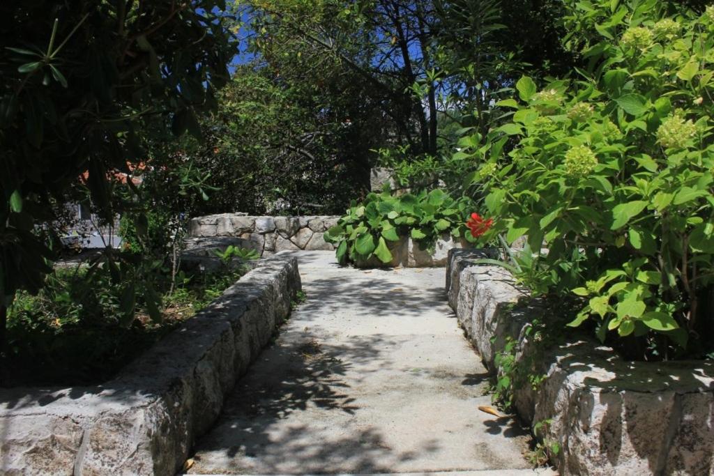 Fotografia z galérie ubytovania Apartments by the sea Cavtat, Dubrovnik - 8827 v destinácii Cavtat