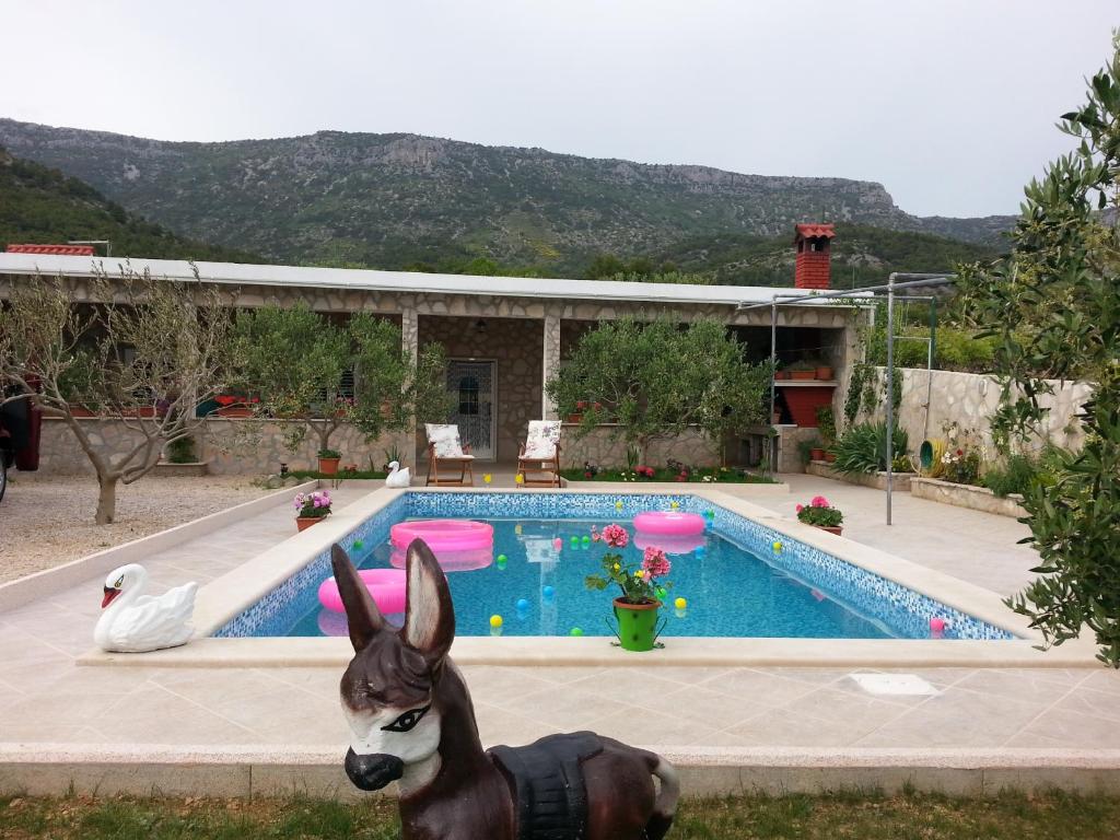 un chien se tient en face d'une piscine dans l'établissement Holiday house with a swimming pool Bol, Brac - 11016, à Bol