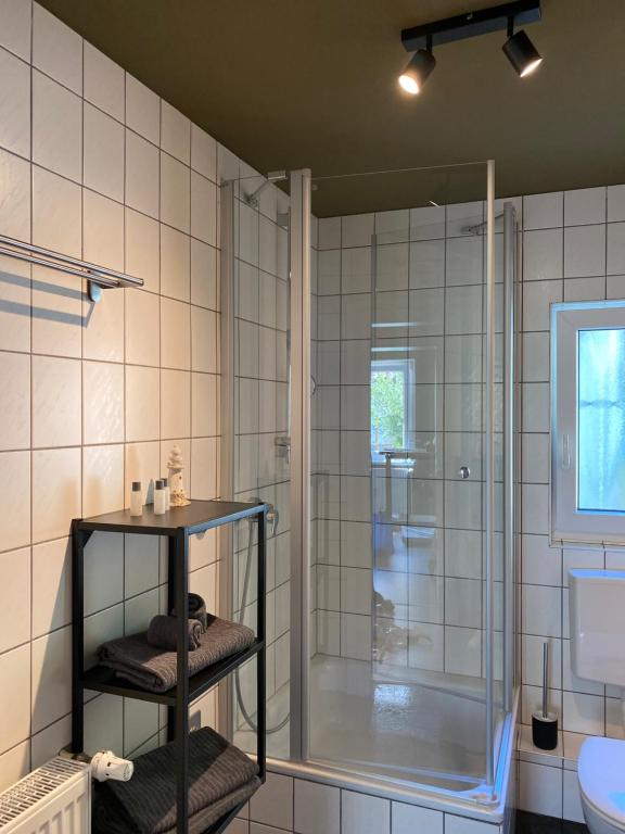 a bathroom with a shower and a glass shower stall at Mainberger in Schonungen