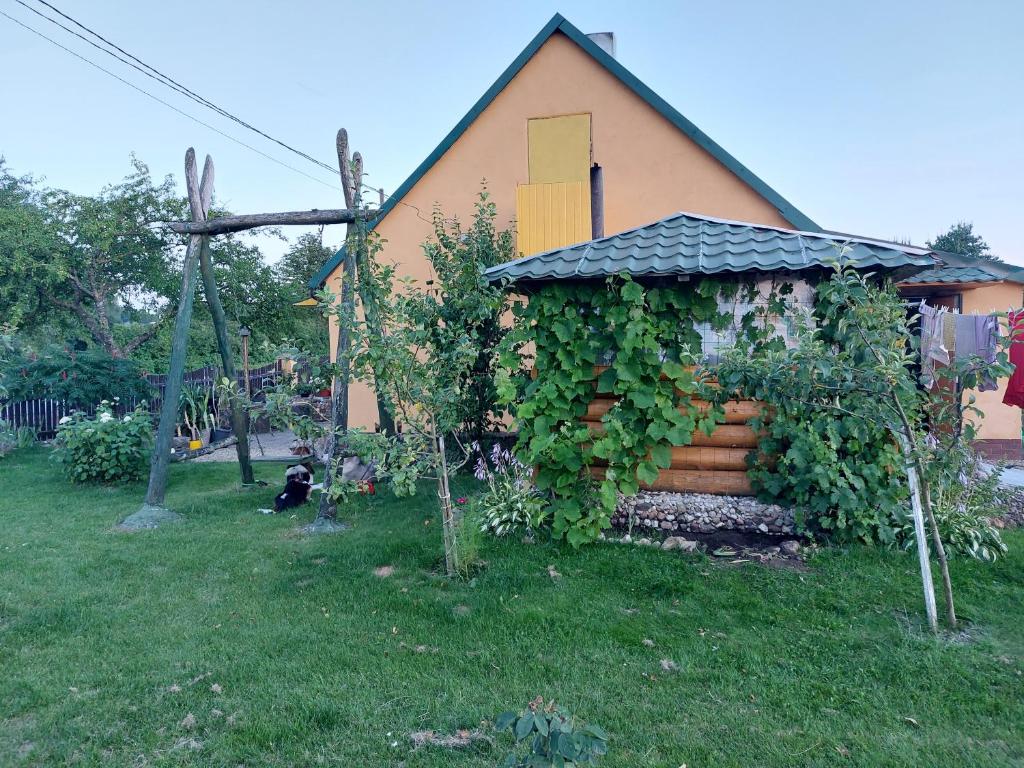 a house with a bunch of plants growing around it at Camping Camino Latvija 2 person room WIFI or space for tent or camper in Žagarė