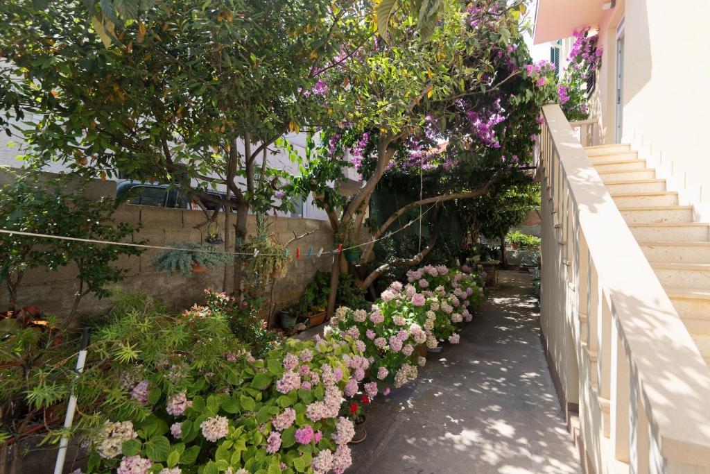 Zahrada ubytování Apartment Supetar 11278a