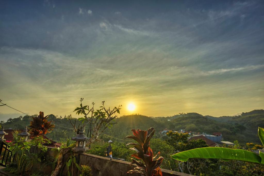 Природа в окрестностях гостевого дома