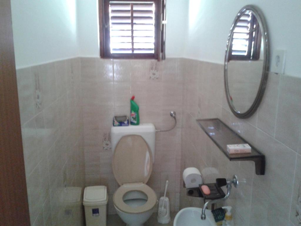 a bathroom with a toilet and a mirror at Apartments with a parking space Betina, Murter - 11322 in Betina