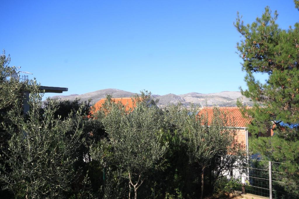 Fotografia z galérie ubytovania Family friendly apartments with a swimming pool Okrug Gornji, Ciovo - 10401 v Trogiri