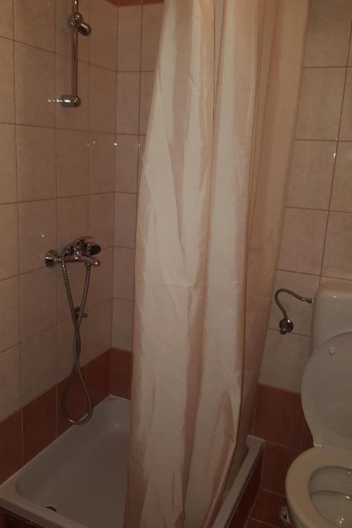 Koupelna v ubytování Studio Gradac 11332d