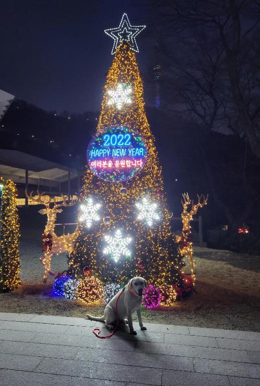 Newly renovated spacious 2 bedroom unit in HBC - отзывы и видео