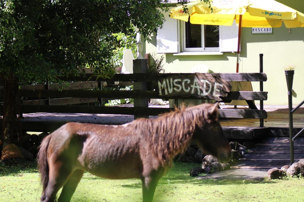 Domácí mazlíčci ubytovaní s hosty v ubytování Gite LA CASCADE BLANCHE
