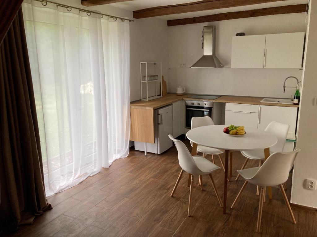 Kuchyň nebo kuchyňský kout v ubytování Apartmány u řeky Nežárky