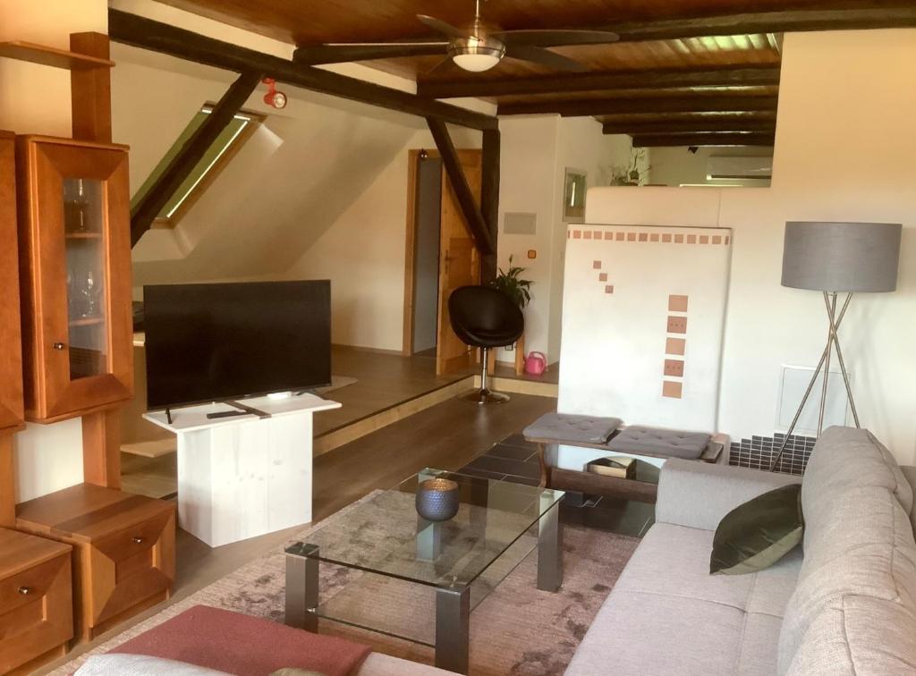 uma sala de estar com um sofá e uma televisão em Rinteln-Loft mit E-Auto-Ladestation em Rinteln
