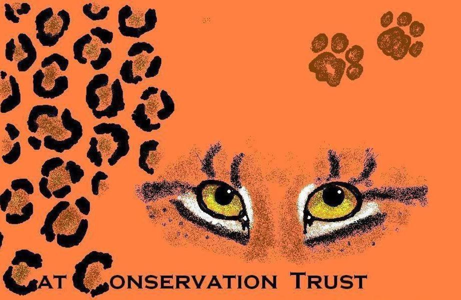 un cartel de confianza para la conservación de gatos con ojos en un fondo naranja en Karoo Pred-a-tours/Cat Conservation Trust, en Cradock
