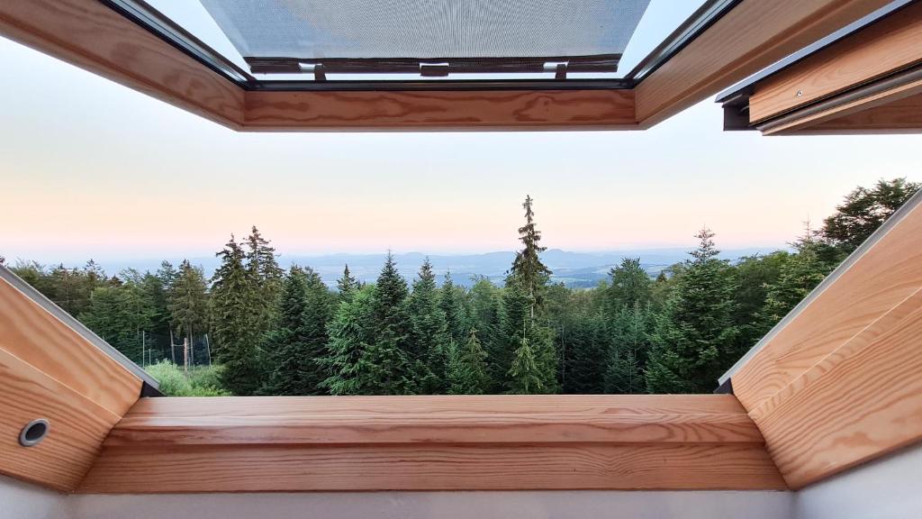 a view from the inside of a house with a window at Luxury apartments Prežin in Pohorje