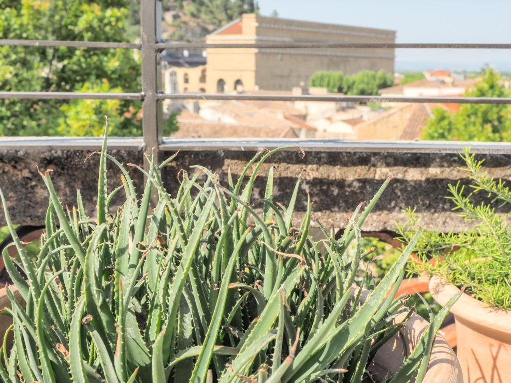 Vonkajšia záhrada v ubytovaní Le Rooftop - Vue incroyable sur le Théatre Antique