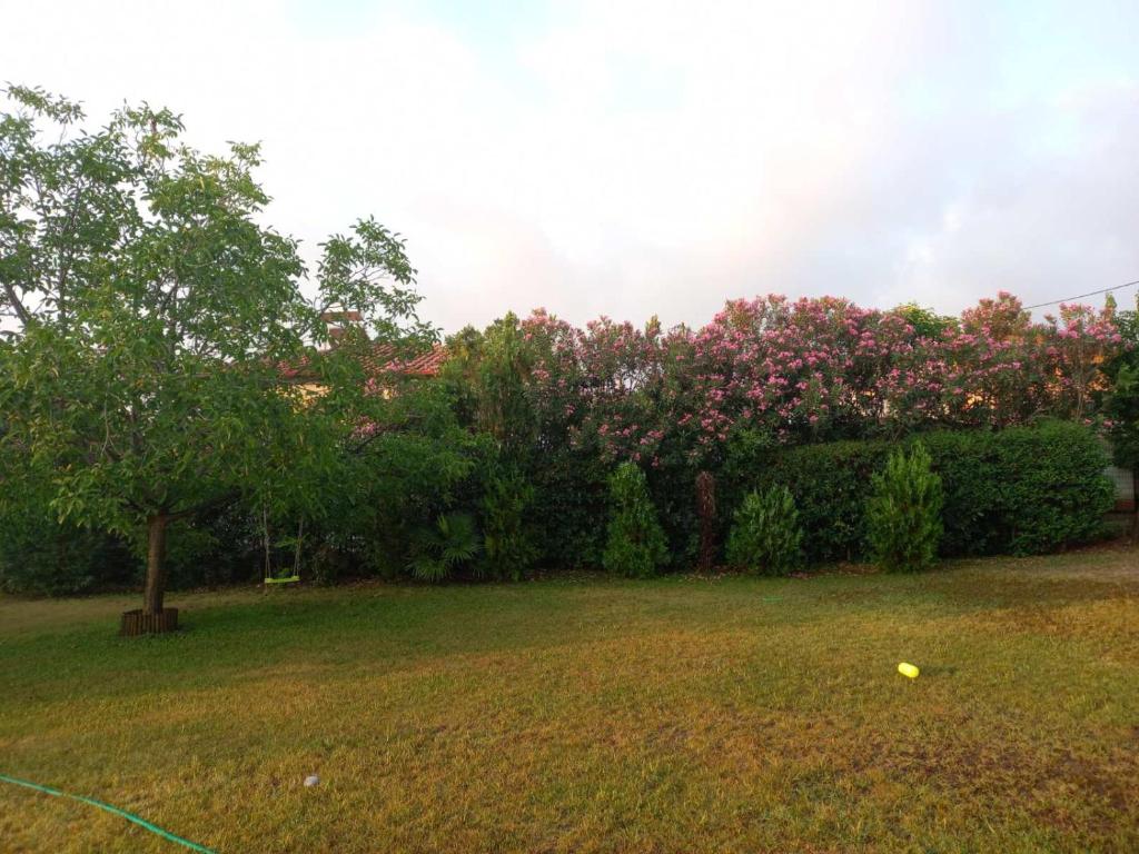 Vonkajšia záhrada v ubytovaní Private two-floor holiday house in Leptokaria