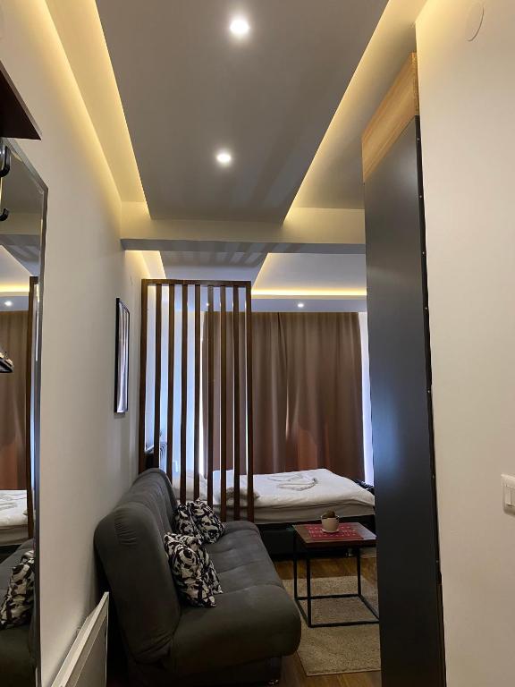Apartman Milosavljevic-President Kop - 一卧室公寓
